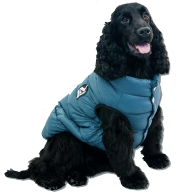 Jack & Vanilla Hondenjas